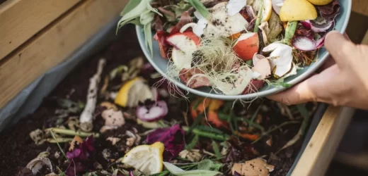 The Benefits of Composting in Your Kitchen