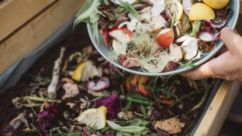 The Benefits of Composting in Your Kitchen